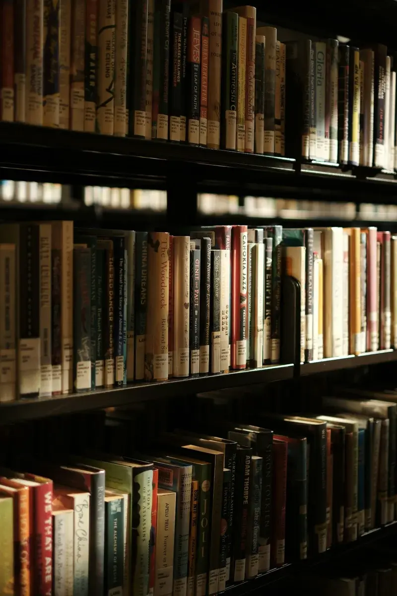 Ряды книг на деревянных библиотечных полках